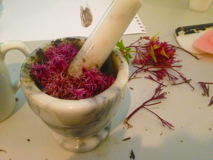 Grinding up flowers in the mortar and pestle